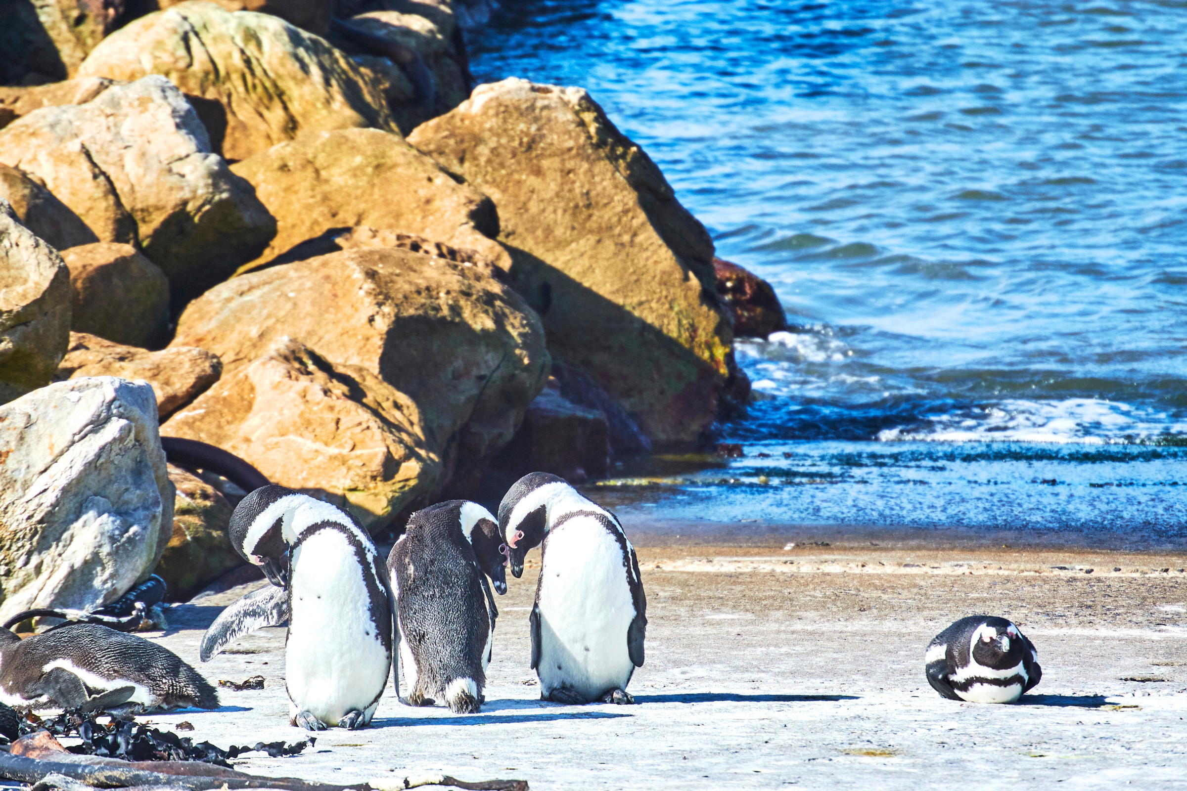 13_Stony_Point_Nature_Reserve[1].webp